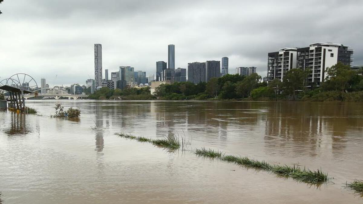 A flooded Brisbane River.