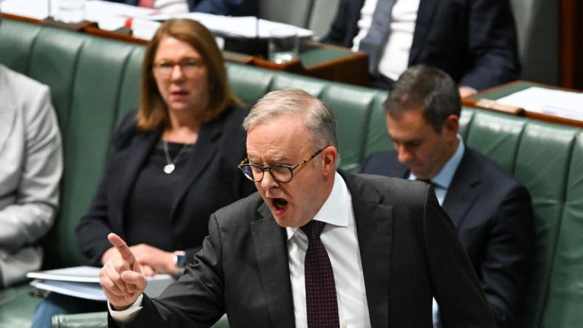 Anthony Albanese in parliament earlier this month.