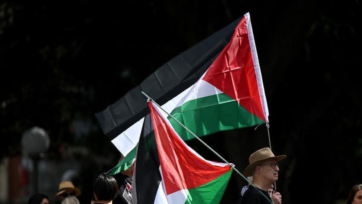 Pro-Palestine rally in Sydney