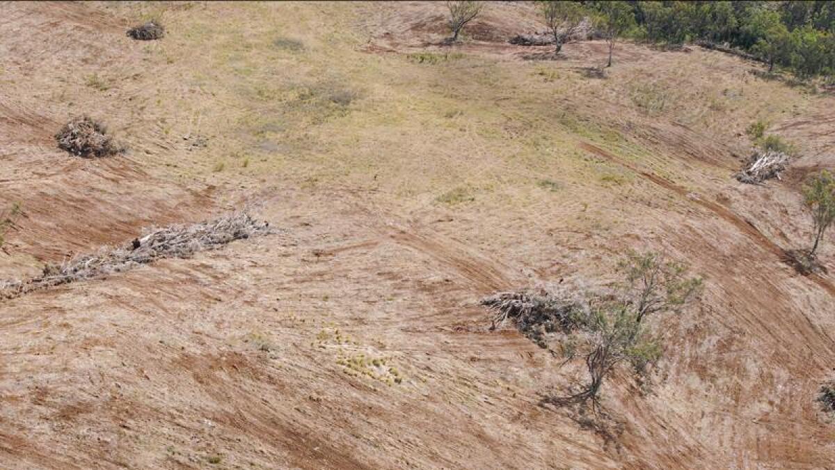 Land clearing near Armidale, NSW