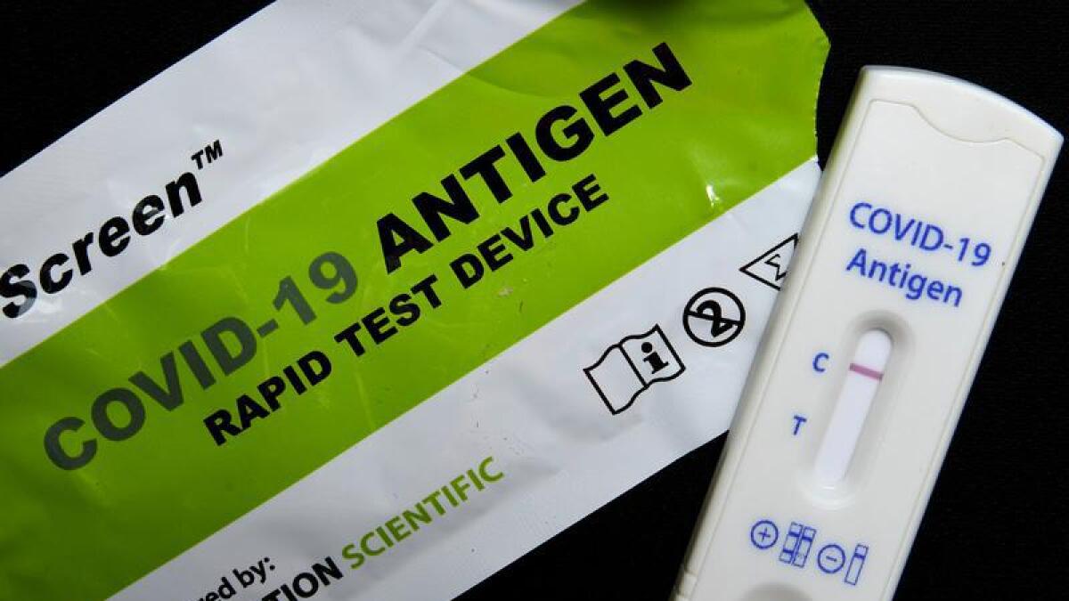 A rapid antigen test showing a negative result (file image)