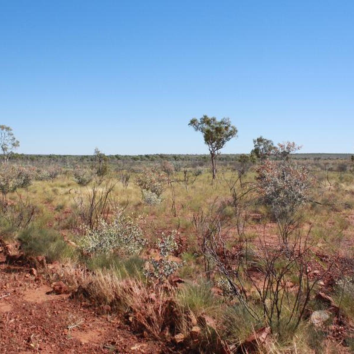 Outback near Tennant Creek, Northern Territory.