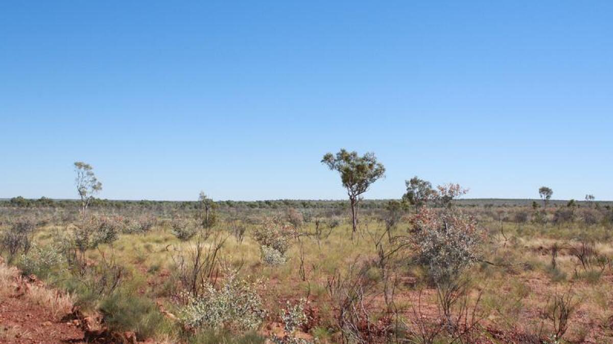 Outback near Tennant Creek, Northern Territory.